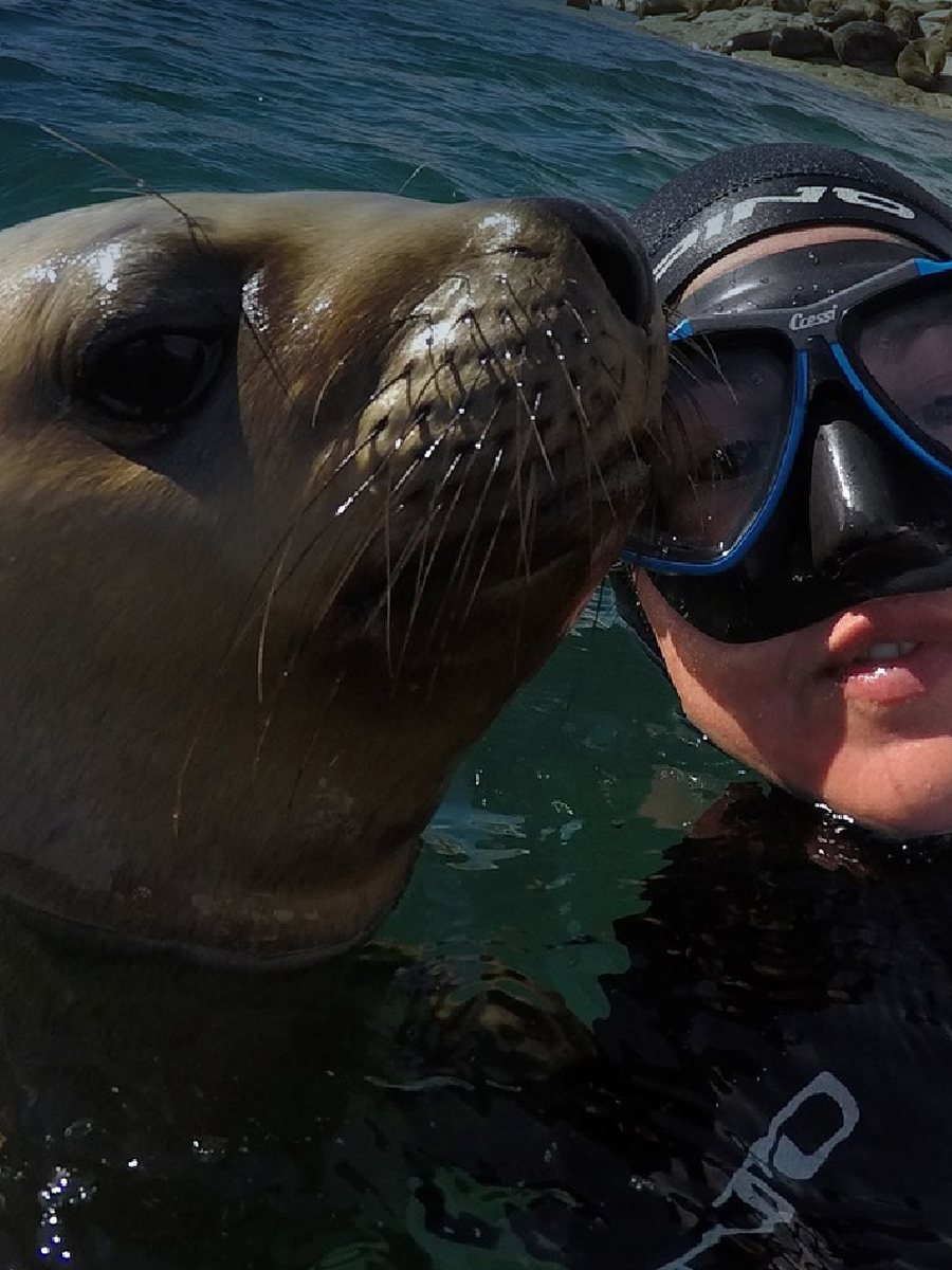 Snorkel con lobos marinos en Punta Loma