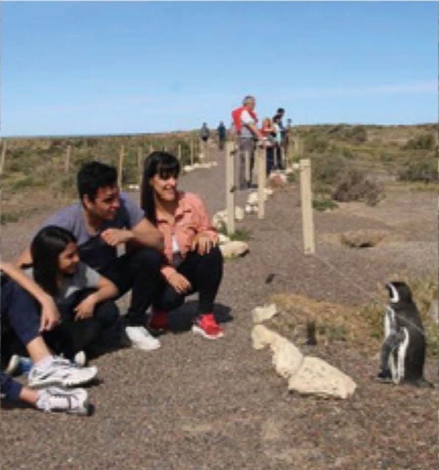 Sendero entre los pingüinos